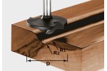 Festool Frez profilowy HW S8 D42/13/R6+12